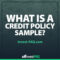 What Is a Credit Policy Sample?